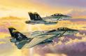 avion Dragon F/A-18F + F-14B avion Dragon F/A-18F + F-14B