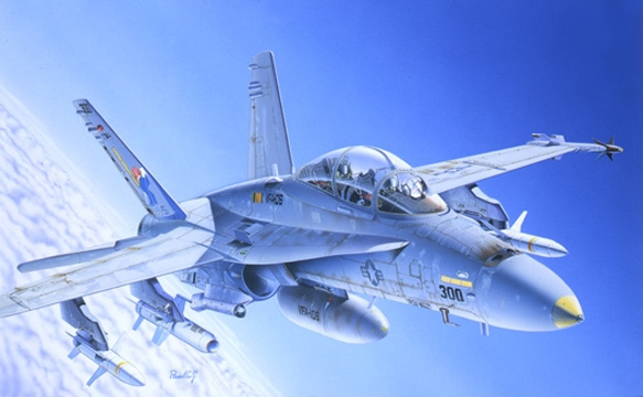 avion Italeri F/A-18C/D Wild Weasel   